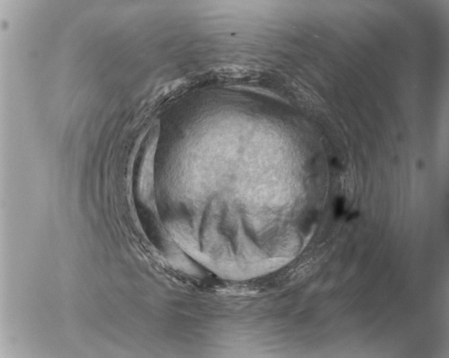 X0000053080961200508081241