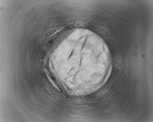 X0000053080962200508081241