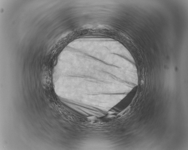 X0000053080966200508081241