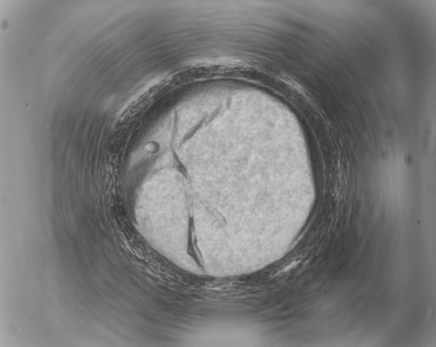 X0000053080967200508081241