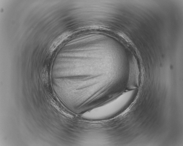 X0000053080969200508081241