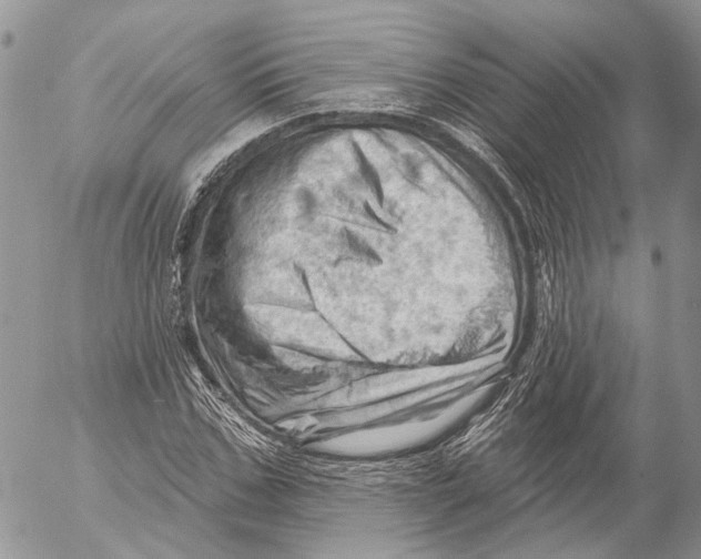 X0000053080971200508081241