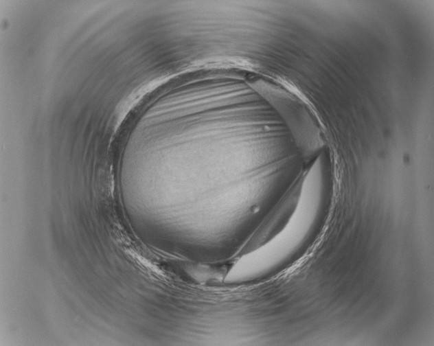 X0000053080973200508081241