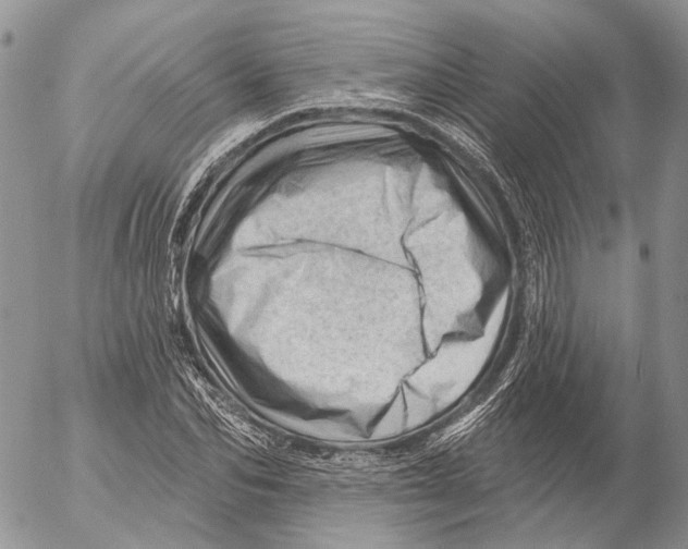 X0000053080974200508081241