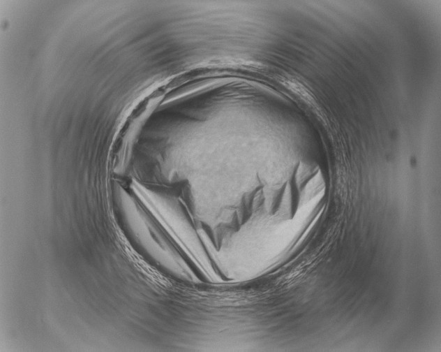 X0000053080976200508081241