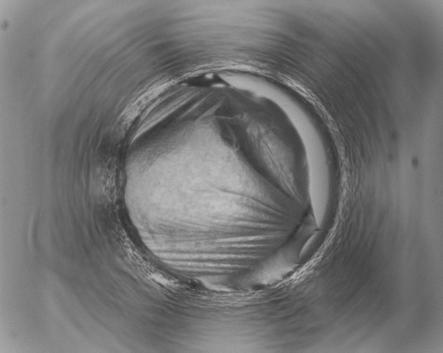 X0000053080977200508081241