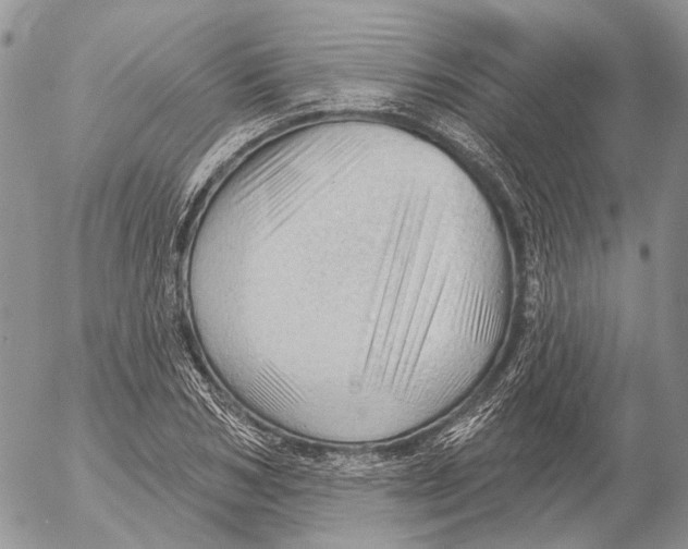 X0000053080978200508081241