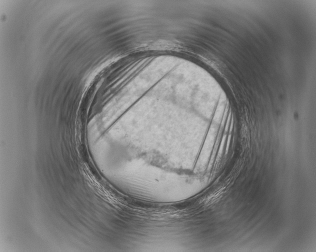 X0000053080979200508081241