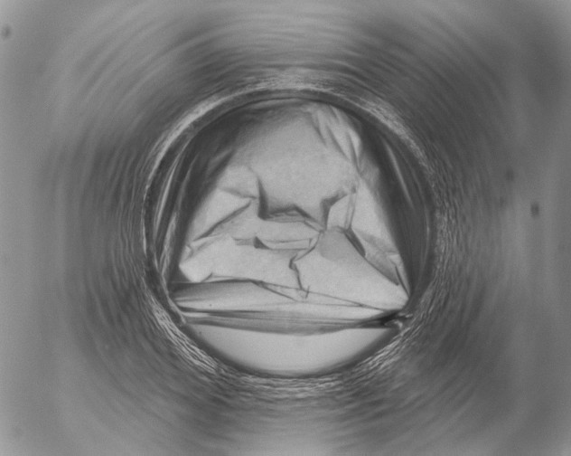 X0000053080980200508081241