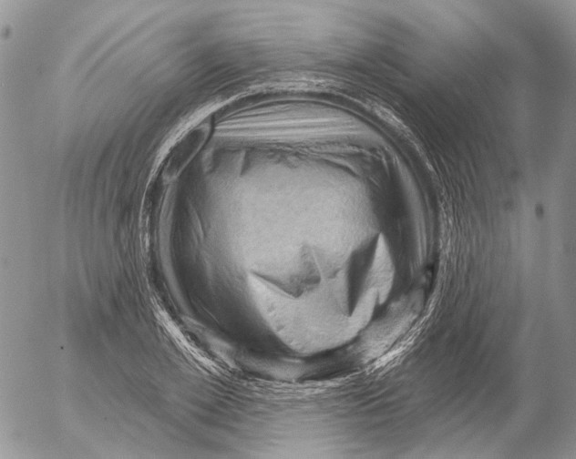 X0000053080981200508081241