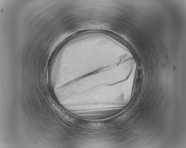 X0000053080982200508081241