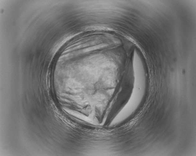 X0000053080983200508081241