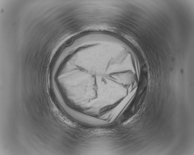 X0000053080984200508081241