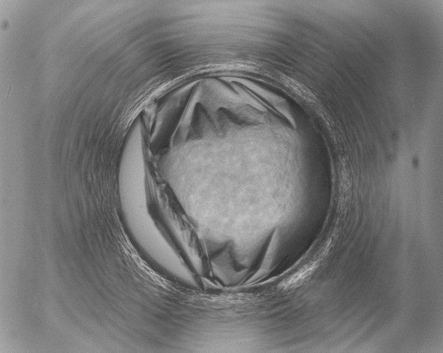 X0000053080985200508081241