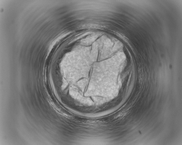 X0000053080987200508081241