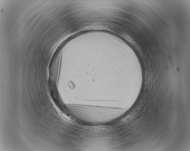 X0000053080988200508081241