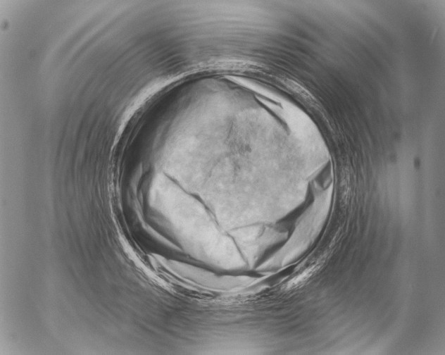 X0000053080989200508081241