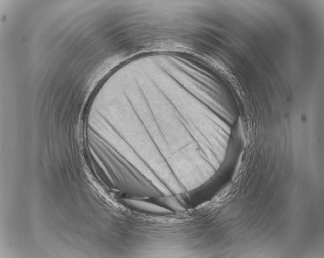 X0000053080990200508081241