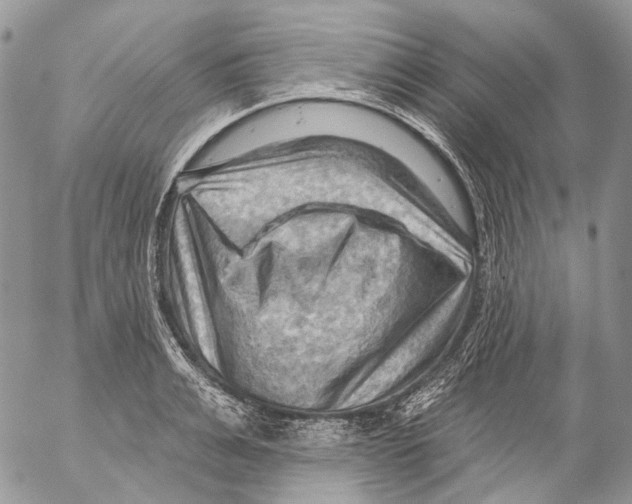 X0000053080991200508081241