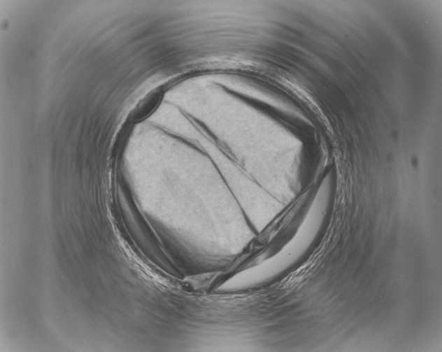 X0000053080992200508081241