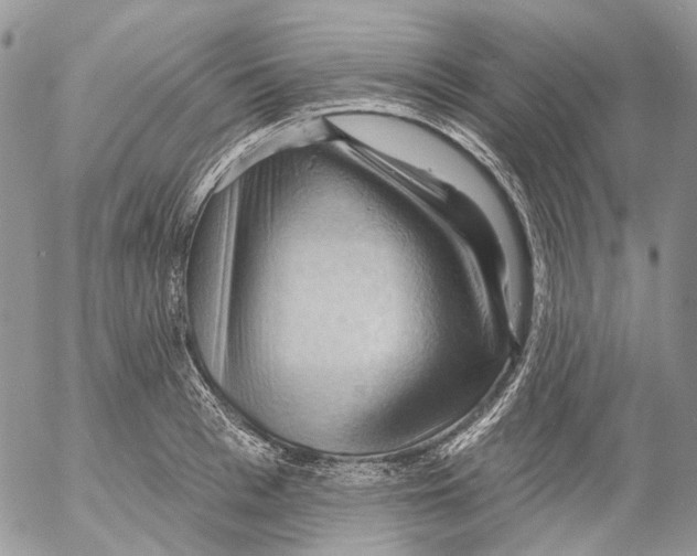 X0000053080993200508081241