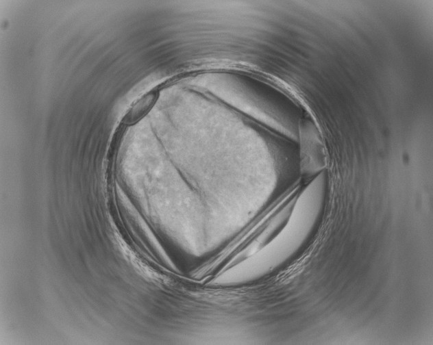 X0000053080995200508081241