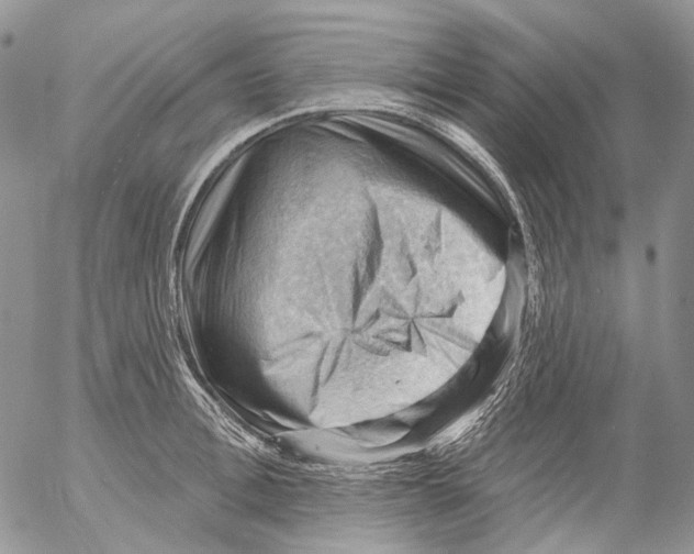 X0000053080996200508081241