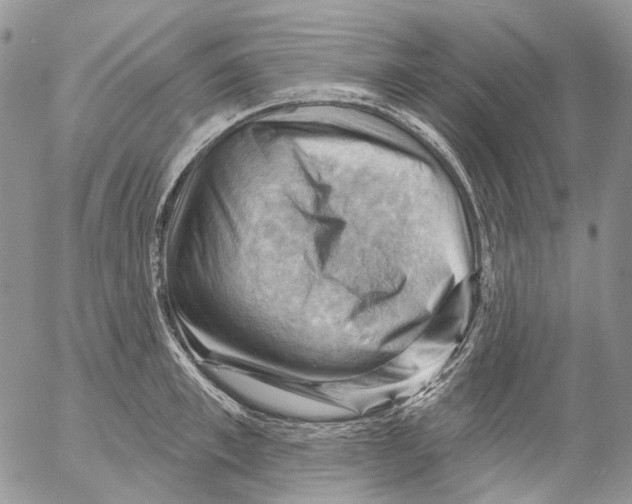 X0000053080997200508081241