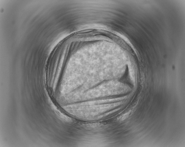 X0000053080999200508081240