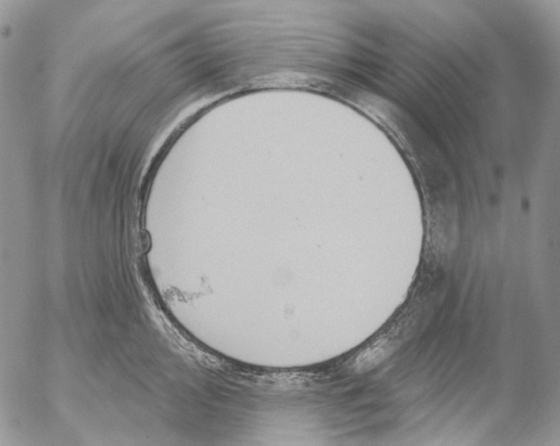 X0000053081000200508081240