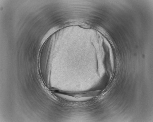 X0000053081002200508081240