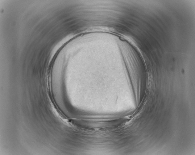 X0000053081003200508081240