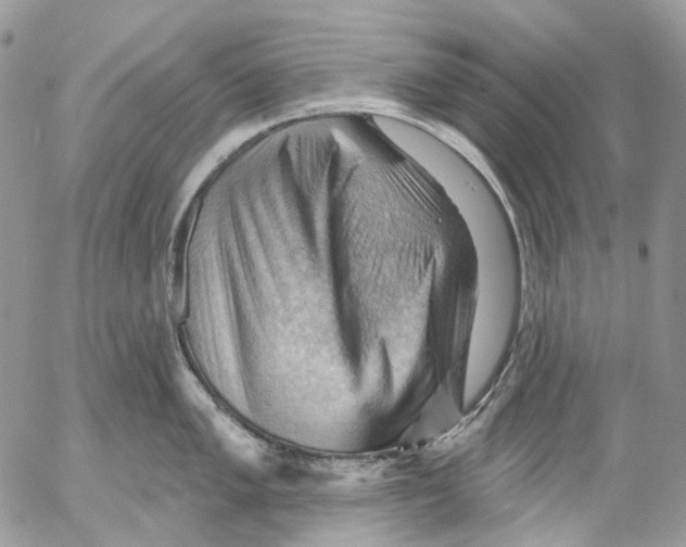 X0000053081005200508081240