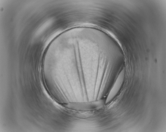 X0000053081007200508081240