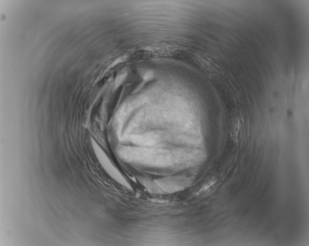 X0000053081010200508081240