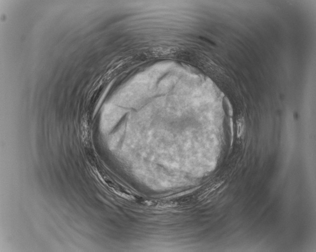 X0000053081011200508081240