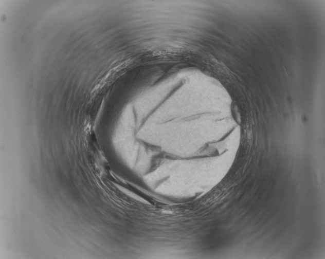 X0000053081012200508081240