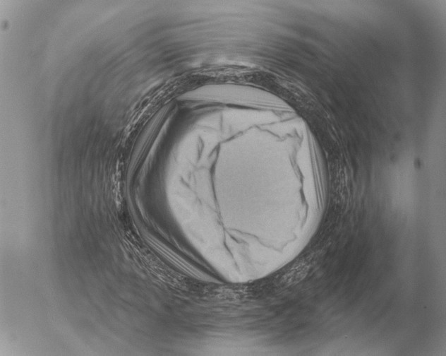 X0000053081013200508081240