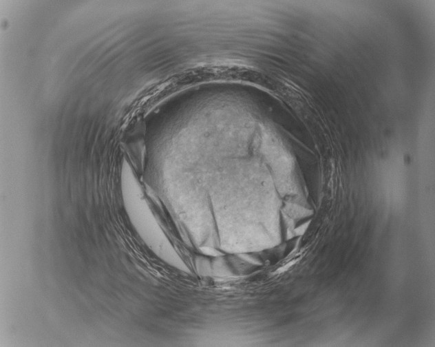 X0000053081014200508081240