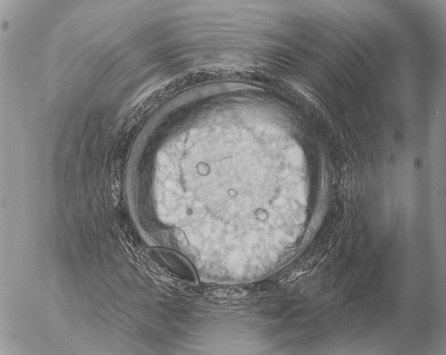 X0000053081015200508081240