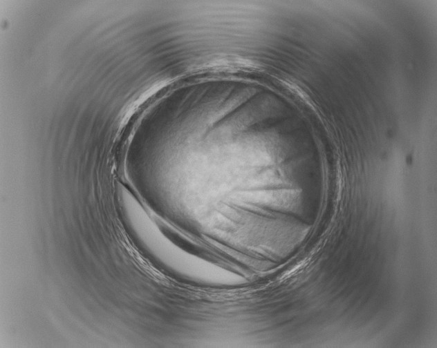 X0000053081018200508081240