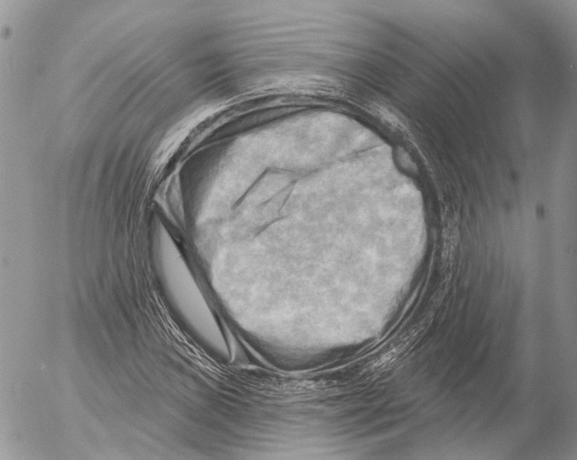 X0000053081019200508081240