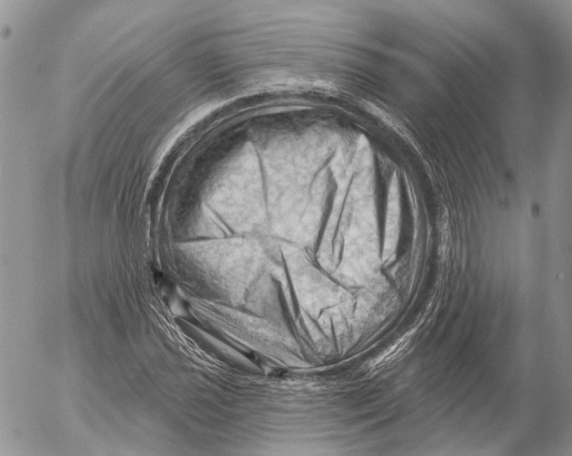 X0000053081021200508081240