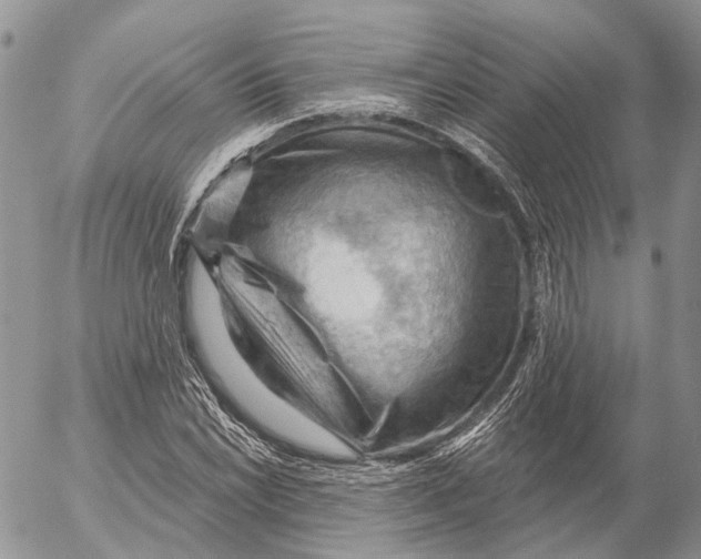 X0000053081022200508081240