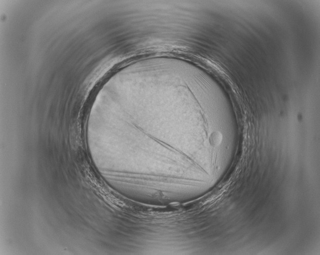 X0000053081023200508081240