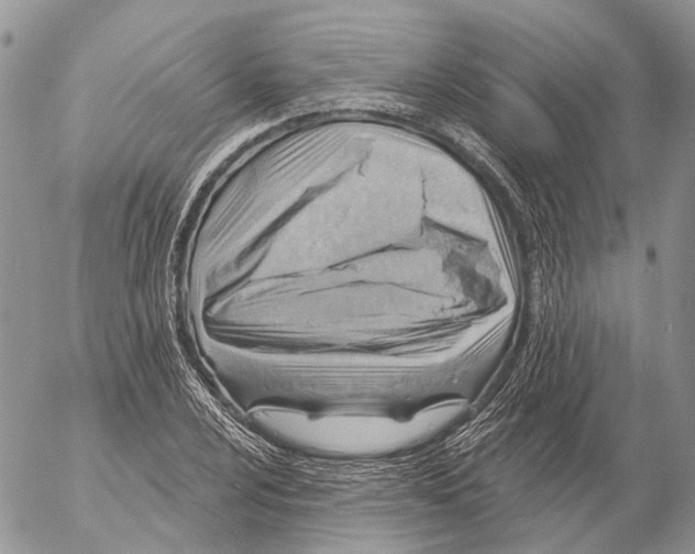 X0000053081024200508081240