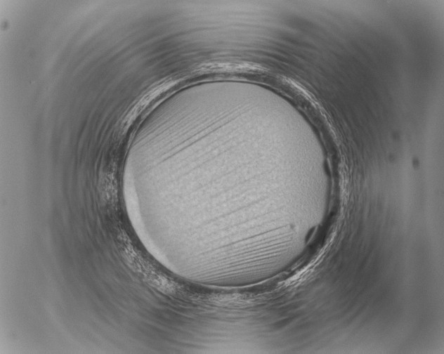 X0000053081025200508081240