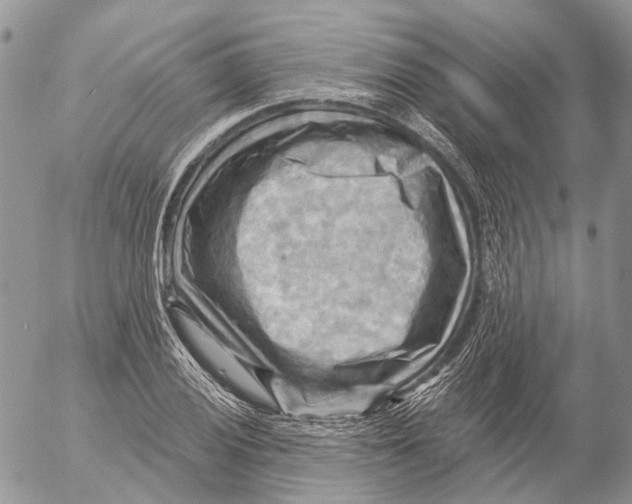 X0000053081028200508081240