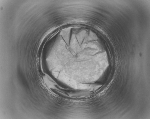 X0000053081029200508081240