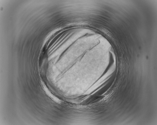 X0000053081030200508081240